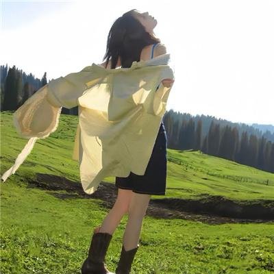 好莱坞狗日子
